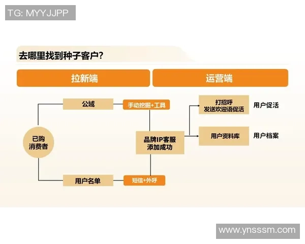 欧陆平台用户增长策略探索与实践：提升用户体验与市场竞争力的有效路径