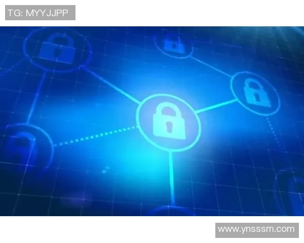 沐鸣2隐私保护AI助力个人信息安全守护与智能化管理新纪元 沐鸣2隐私保护AI助力个人信息安全守护与智能化管理新纪元